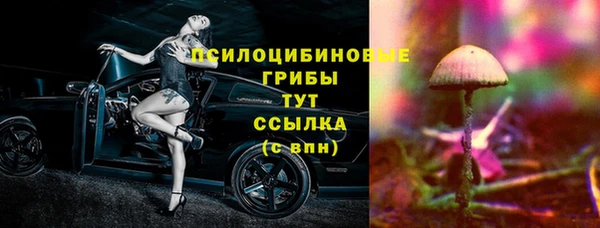 марихуана Белокуриха