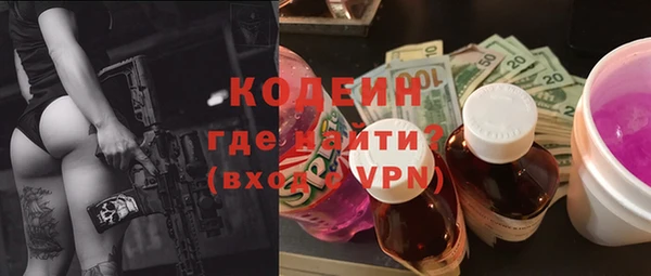 хмурый Арсеньев