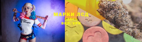 хмурый Арсеньев