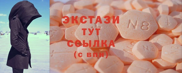 хмурый Арсеньев