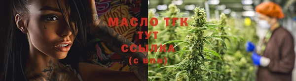 хмурый Арсеньев