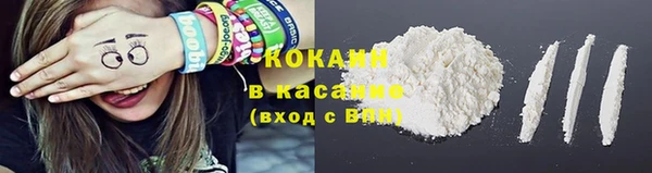 хмурый Арсеньев