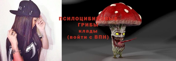 МДПВ Армянск