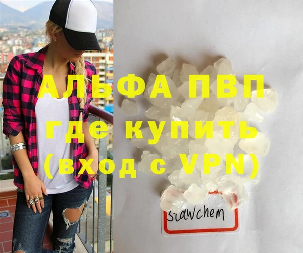 сатива Аркадак