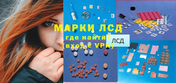 хмурый Арсеньев