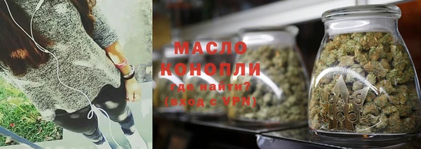 хмурый Арсеньев